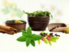 Ayurveda Day to be Celebrated on 23rd september every Year.