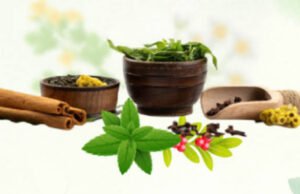 Ayurveda Day to be Celebrated on 23rd september every Year.